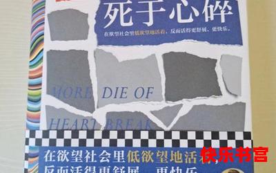 更多的人死于心碎免费阅读大结局-更多的人死于心碎在线阅读完整版